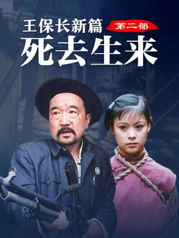 王保长新篇第2部
