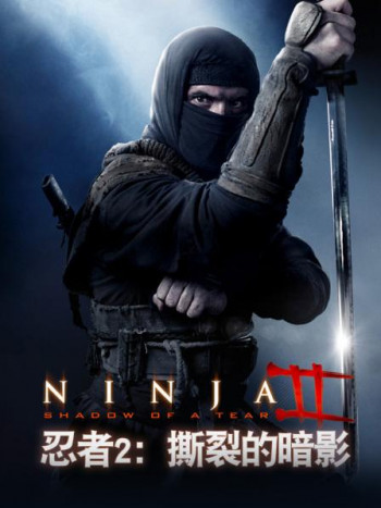 忍者2：撕裂的暗影