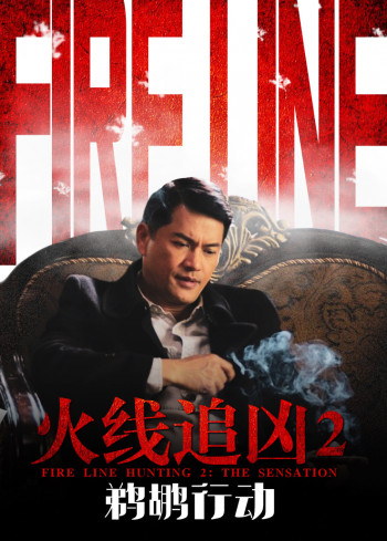 火线追凶2:鹈鹕行动