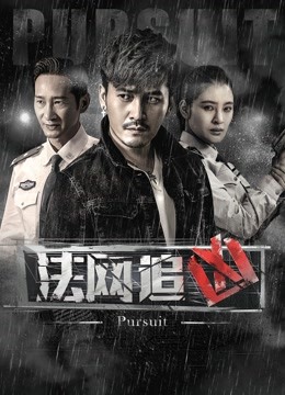 法网追凶 第一季