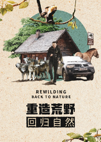 重造荒野回归自然