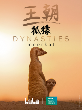 王朝2:狐獴特辑
