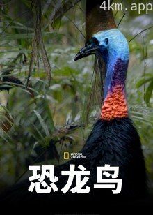恐龙鸟