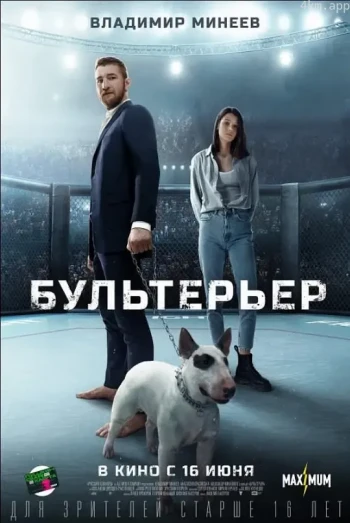 牛头犬