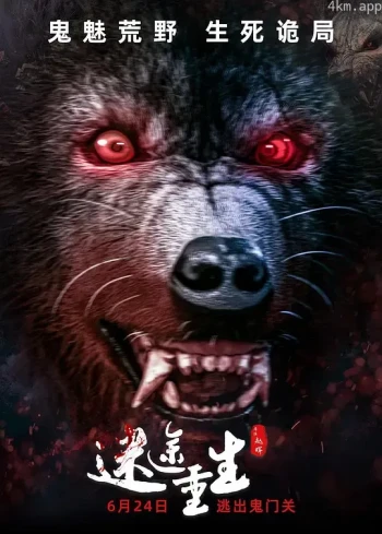 迷途重生