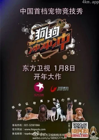 狗狗冲冲冲