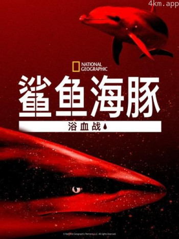 鲨鱼海豚浴血战