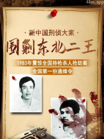 新中国刑侦大案:围剿东北二王
