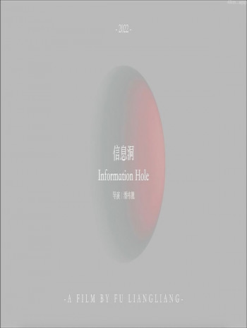 信息洞