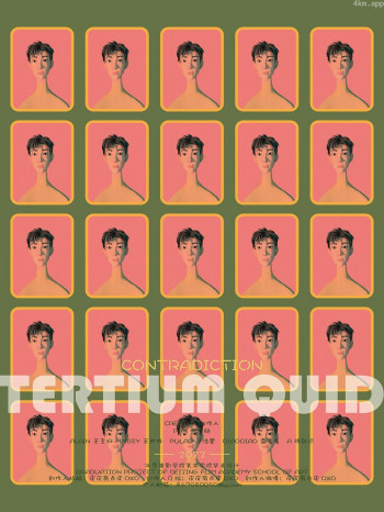 Tertiumquid