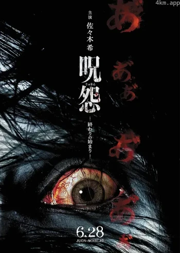 咒怨:终结的开始
