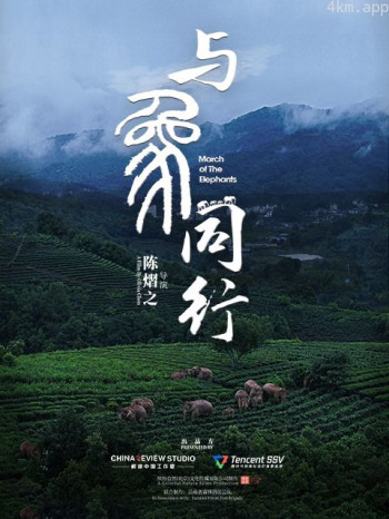 与象同行