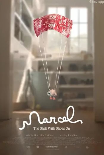 穿着鞋子的贝壳马塞尔