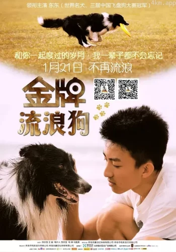 金牌流浪狗