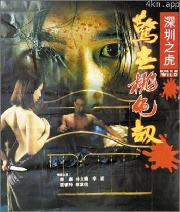 深圳之虎惊世桃色劫