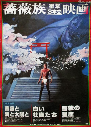 玫瑰 海 太阳