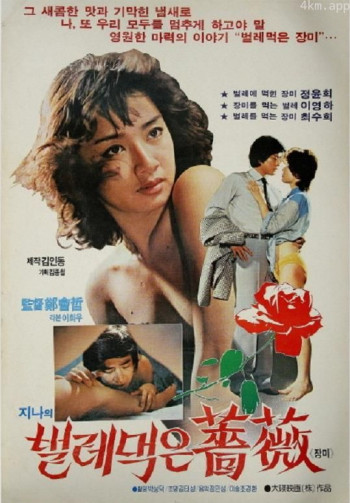 진아의 벌레먹은 장미