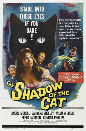 猫影