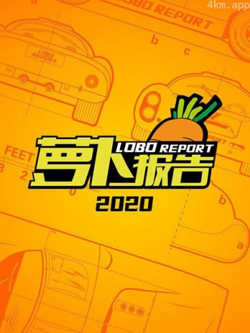 萝卜报告