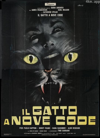 九尾怪猫