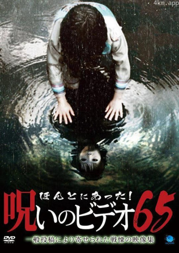 被诅咒的录像带65