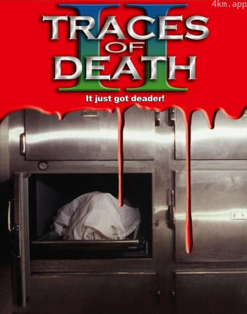 地下影带2:解剖死亡