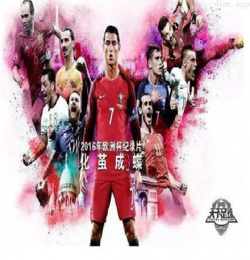化茧成蝶:2016年欧洲杯纪录片