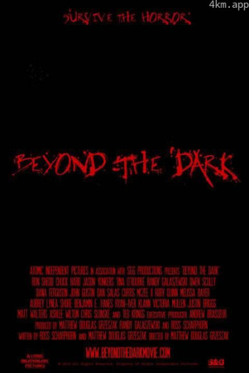 Beyond the Dark