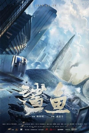 鲨鱼