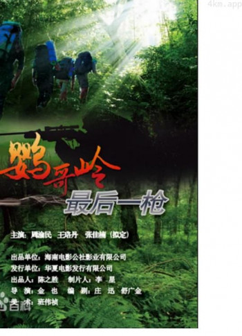 鹦哥岭,最后一 枪