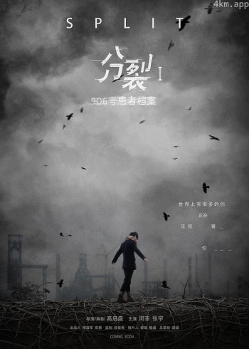 分裂1:906号患者档案