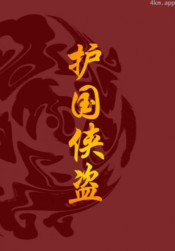 护国侠盗