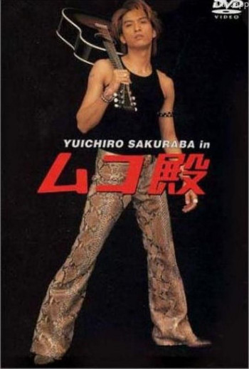 女婿大人
