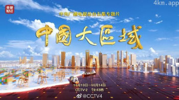 中国大区域