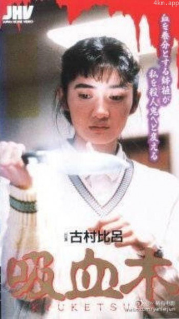 吸血木