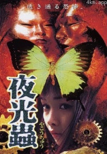 夜光虫