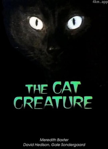 猫精灵