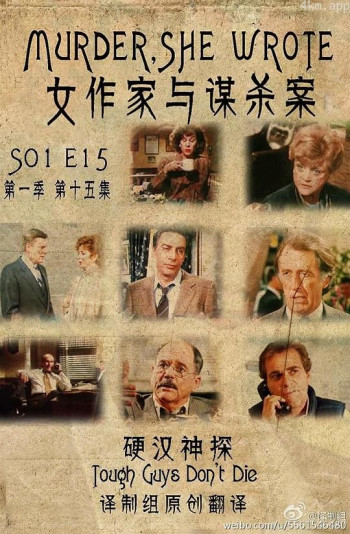 女作家与谋杀案:硬汉神探