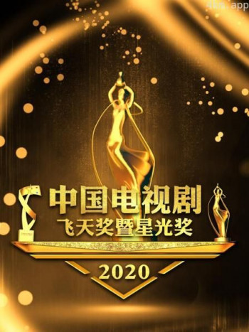 中国电视剧飞天奖暨星光奖