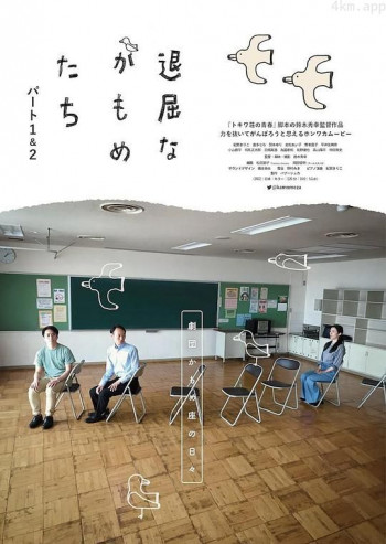 无聊的海鸥们