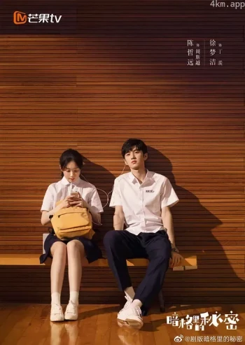 暗格里的秘密 速看版