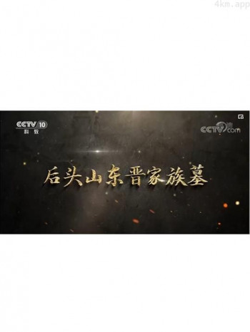 后头山东晋家族墓