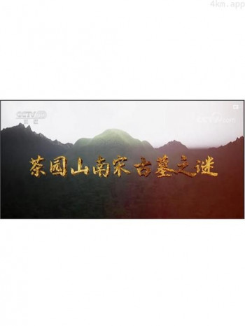 茶园山南宋古墓之谜