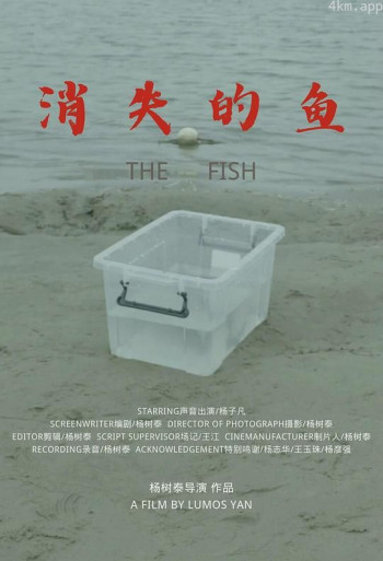 消失的鱼
