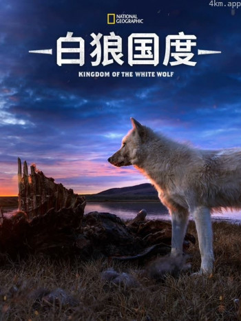 白狼国度 第一季