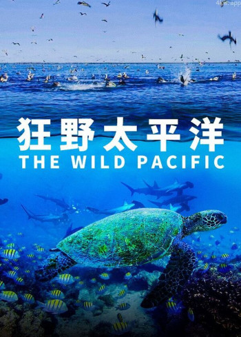 狂野太平洋
