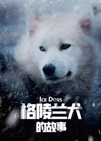 雪橇犬