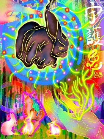 守护兔