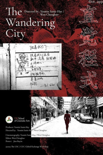 直觉程式