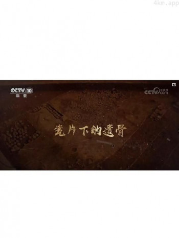 瓷片下的遗骨